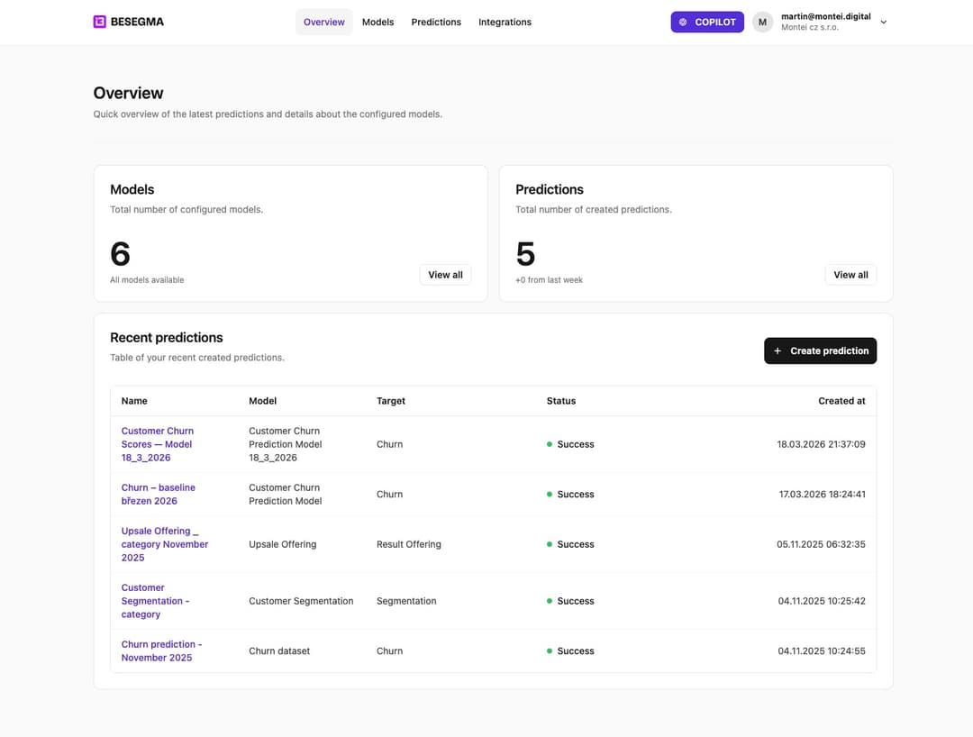 Besegma: AI Copilot for Predictive Analytics